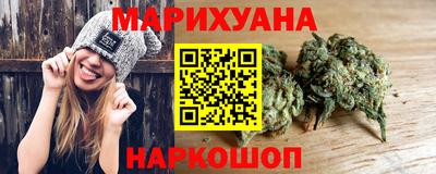 трава Гатчина