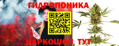 трава Гатчина