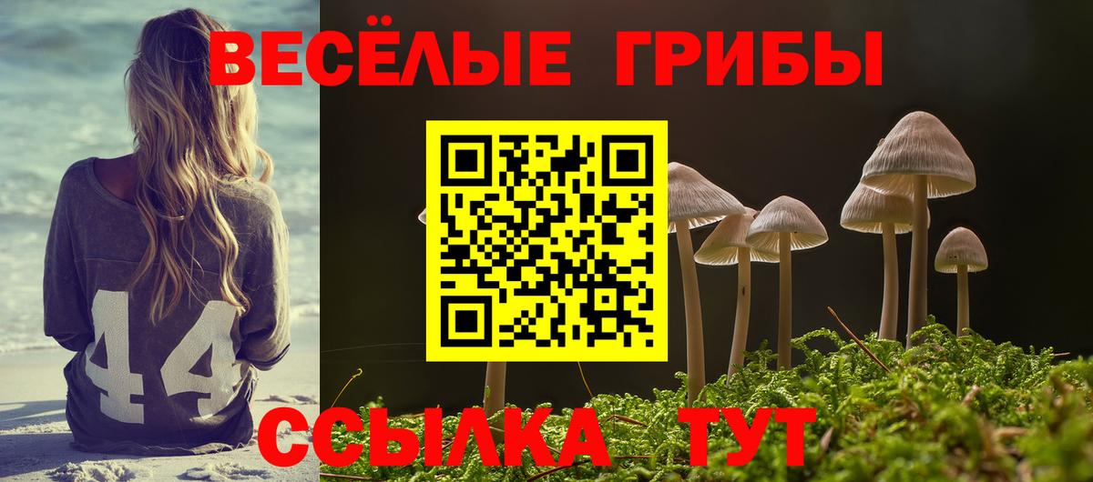 Псилоцибиновые грибы прущие грибы Барабинск